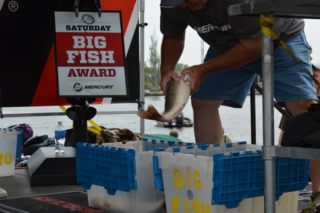 31A2D3A5-F726-417E-8454-223AA9C4EC60