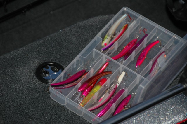 E03EE6BD-C116-4D66-82B2-A4D246450CD2