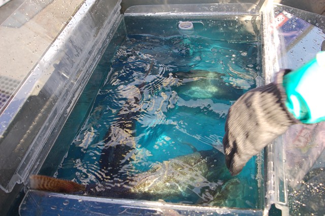 E08697D6-0FAF-449C-A7E7-200C3B072B8B