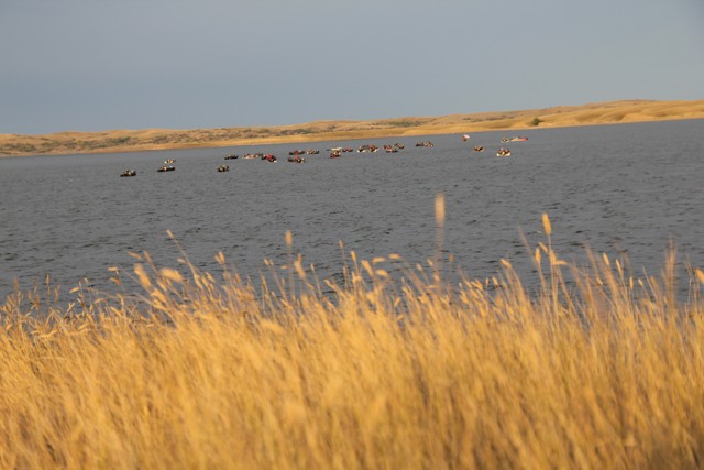 E1B97D32-69B2-4C29-99F5-A12F63E428E5