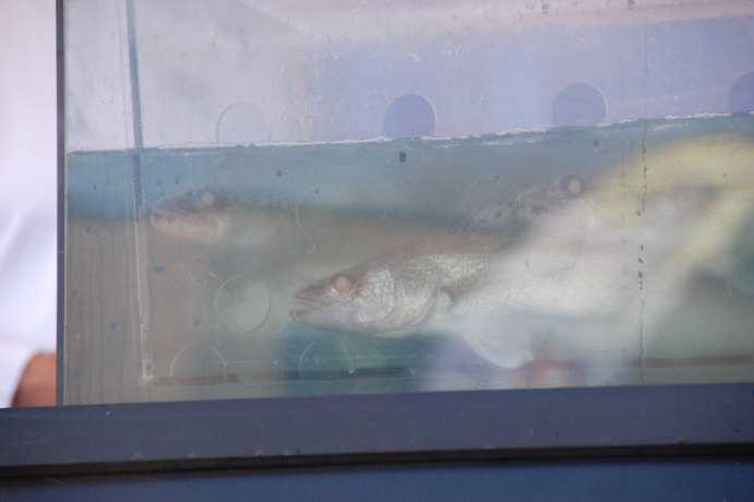 E2DFA429-B9FD-4128-B15C-A44DBDA9A882