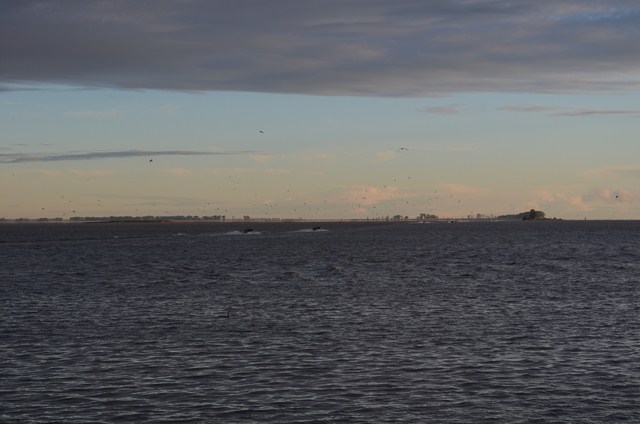 E3E0DD7C-F35C-4C71-98CD-A4D96A5379D2