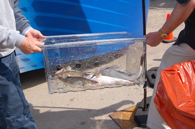 E4376C49-EA95-41C9-9BFB-24A7272322F8