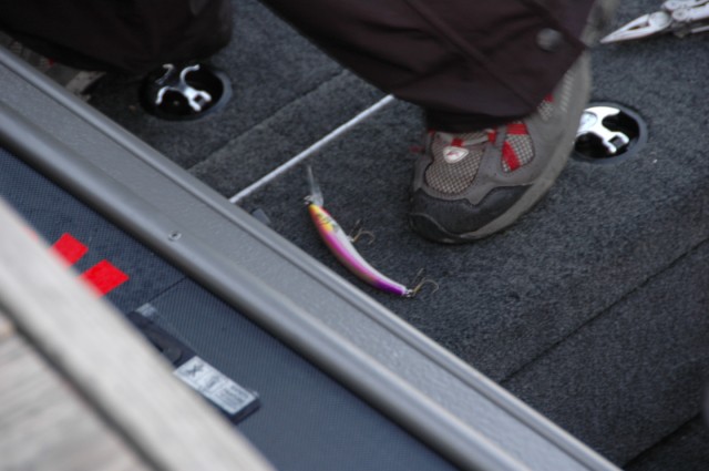 E4492092-0575-4207-9A57-6F9CEB459B8D