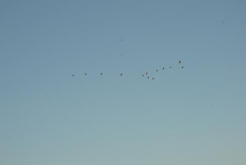 E4E53643-453E-4B2B-8FA1-7DE7D2F8E7D7