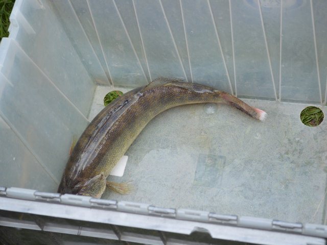 E580B386-29EB-4F43-A43B-DA9B09F1800D