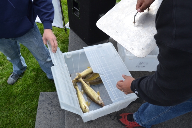 E5D793AC-C1D2-4D52-A541-688BCCC52406