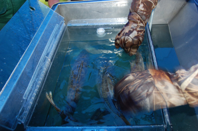 E770BF47-08E0-4E5D-B0EB-97F54713F608