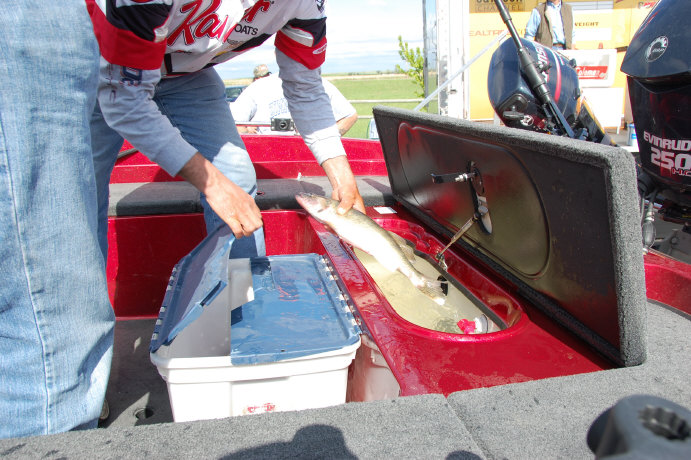 E79F8F26-EC49-4EF4-9678-E77806EE57FF