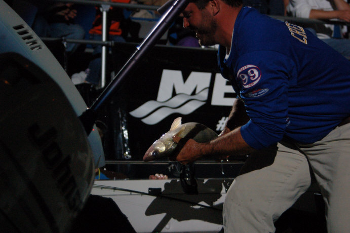 E8863AB3-E2FD-48AC-A848-45921224E1C5