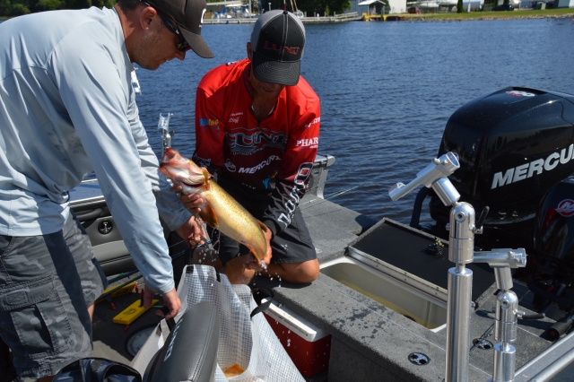 E88A5888-7CC2-4AB7-AFB3-6041288EB034