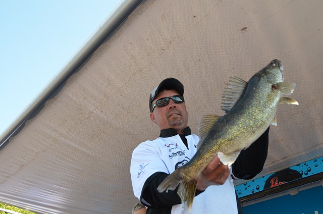 E8C86F6D-3290-4EDD-A597-FF32C378740F