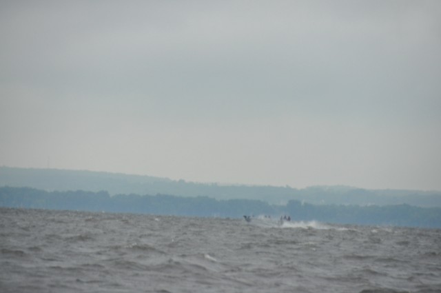 E8F1E84B-9C56-489A-9011-4262169C5E3F