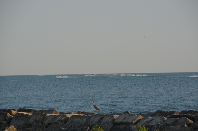 E992DAF2-2549-4E6A-864C-AE0D68035889