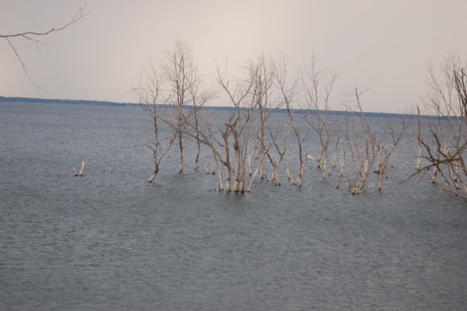 E9AE26CB-7CB1-4E69-926D-3C914665757A