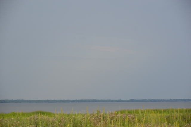 D7CEC4FF-2915-4419-AFD6-04913EE61A91