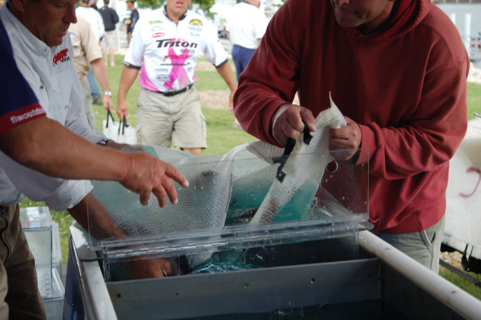 ED083988-6477-4465-8668-11FF77045922