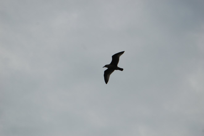 ED201E6E-1F4F-450C-B35B-C229564A9421