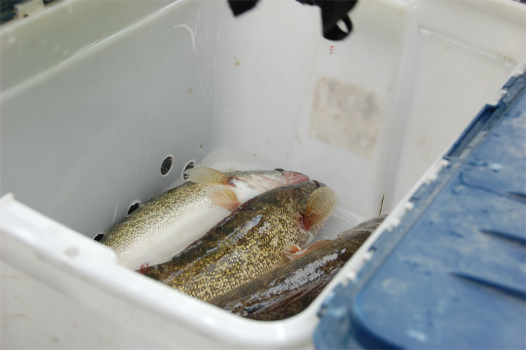 EDF3C62F-7AB2-45D3-A6E1-081B3F289A3D