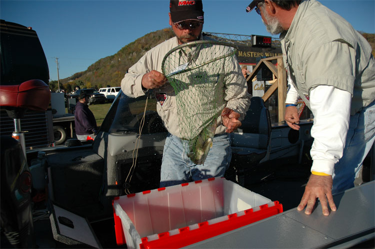 EE155A8E-3A99-4311-B966-A8CCA20D9B3D