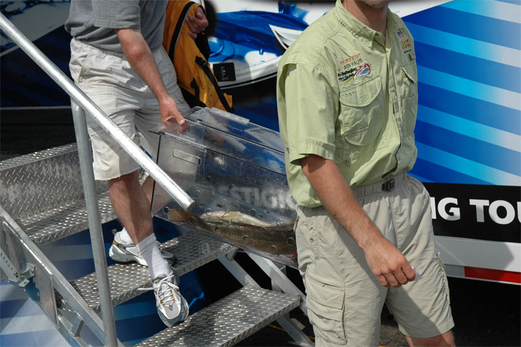 EE1D81AD-F0D3-40C0-97BA-52C11DA4DB96