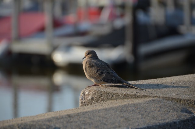 EE69FB7F-20D7-4226-8817-89E96835F033