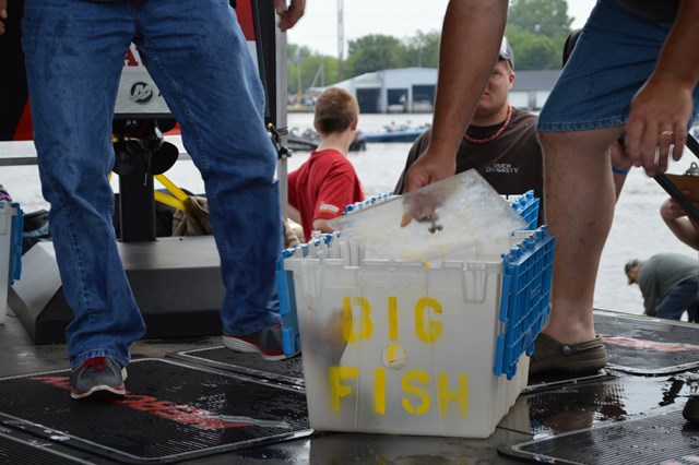 EE74B0B5-1C17-46B4-9C2A-4E6BE275FFC4