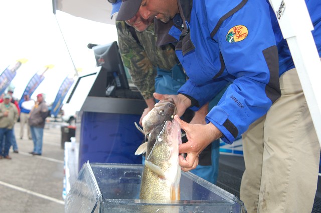 EED11C0A-AF33-4419-BB38-48BFF6F17D68