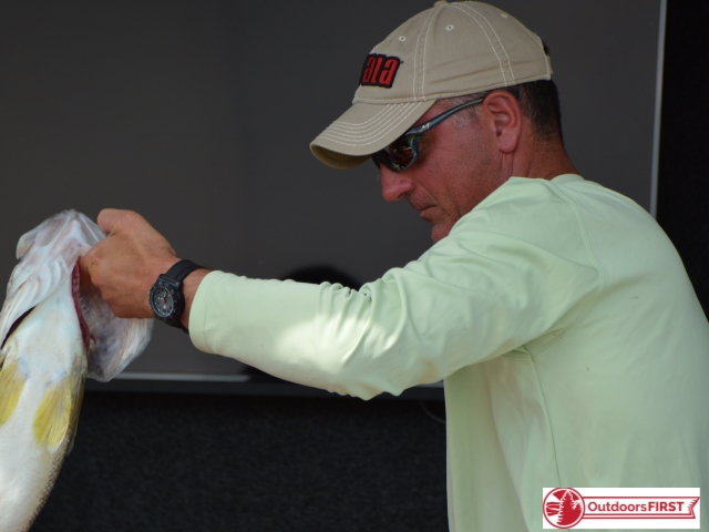 EF68FDC7-F113-4906-B931-C15ABB8B8C9A