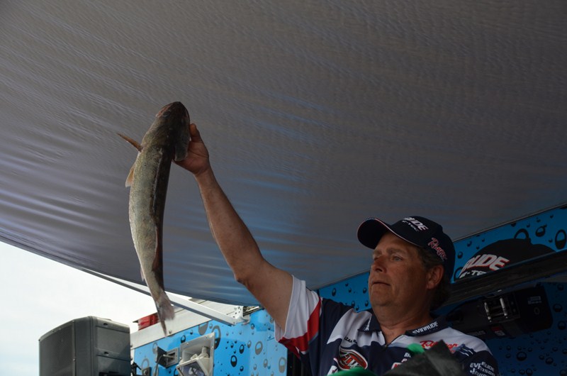 51E7DF8B-E69B-4A7E-8A69-F4B1D5D1B728