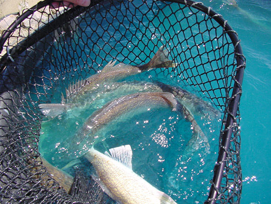 F0357AC9-3C35-458D-8FAE-9B21A8D12B32