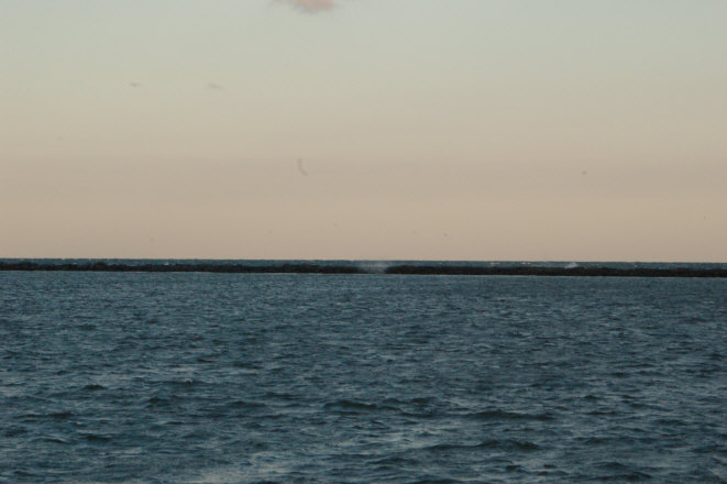 F069F1AE-0B6A-4A64-BF67-99D1644144BF