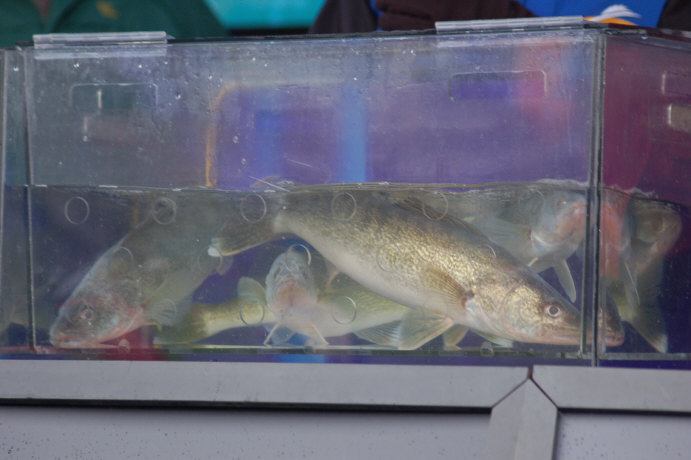 F099B5B5-2560-4913-B297-AB3BA21974E4