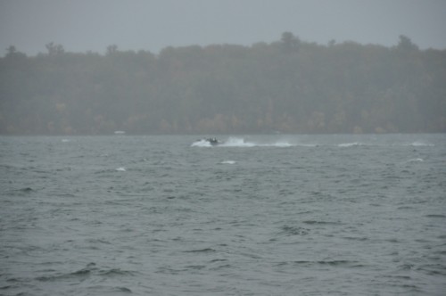 F1444AF1-FE5D-4ABA-9FB4-71ACD379E9A7