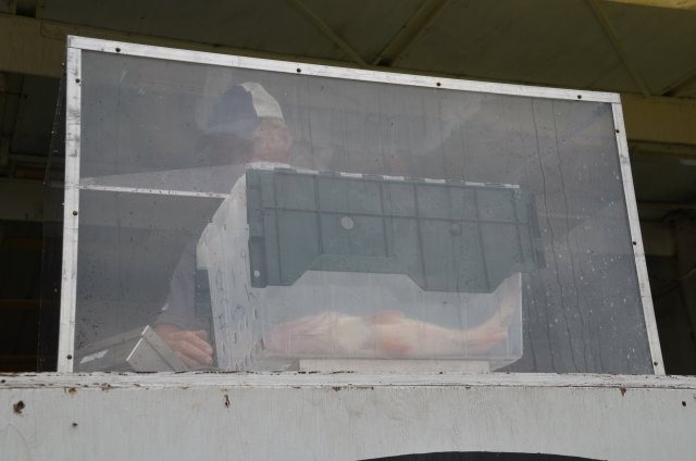 F17EA69A-FD4E-4D30-BE86-CFD64E180D9A