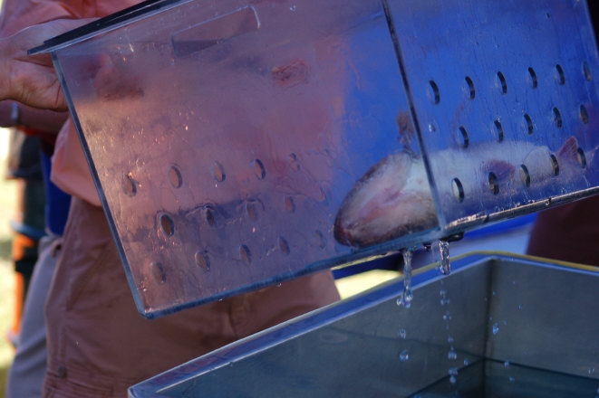 F1A2D902-4A67-456A-A577-E2081FB426B4