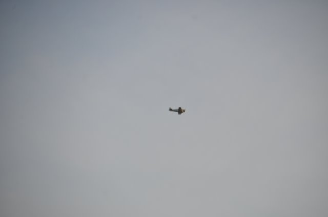 F1A50973-AB29-4F36-825A-F91634B5B899