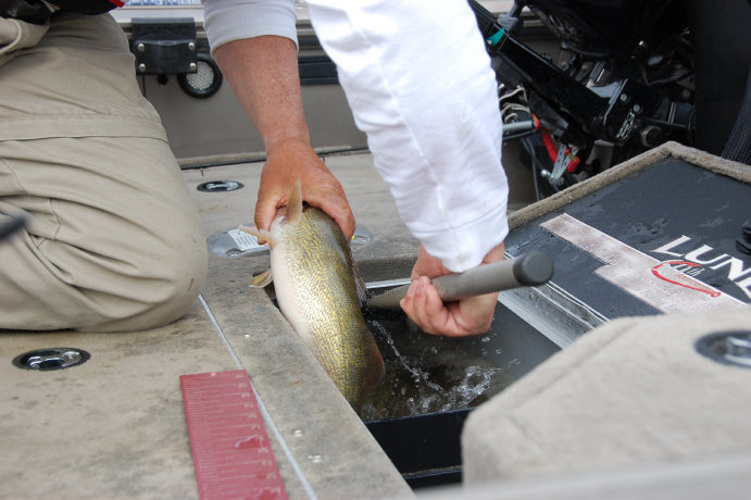 F28624BE-9C7C-48B8-AA31-EF0F13B5B99F