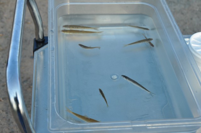 F37BE2BB-B1A2-4B90-9152-D35200EF419C