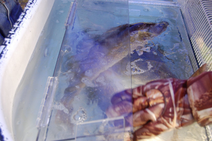 F384E80D-1985-4F9F-9D1F-CAB4FE544AF9