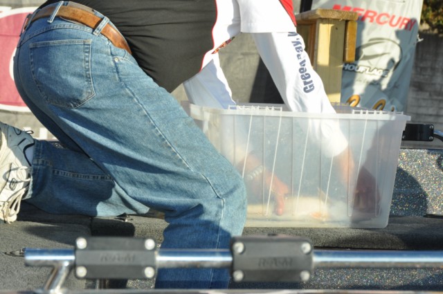 F3FFB85B-9B39-4943-8705-50BC54354B18