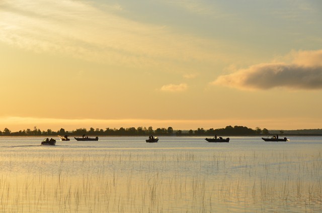 F4108FAC-A007-4EFA-9917-90096ED8573F