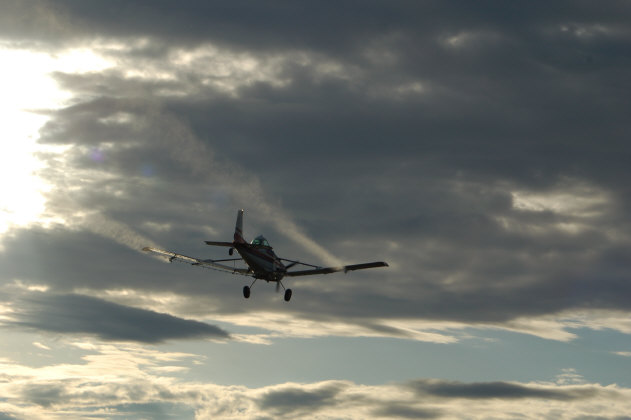 F43F6C77-2868-4DCB-AC44-1405C9AAF1CF