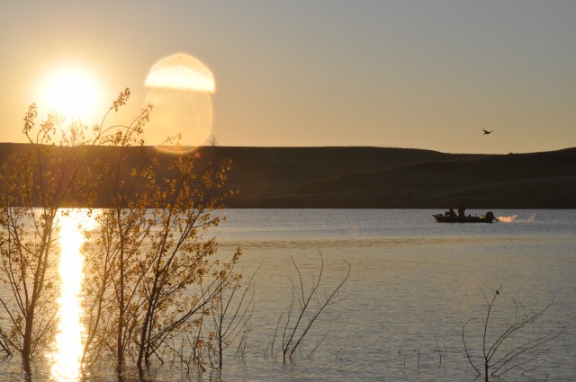 F47BB3F4-0DBA-4D12-B84F-13B43DABB76C