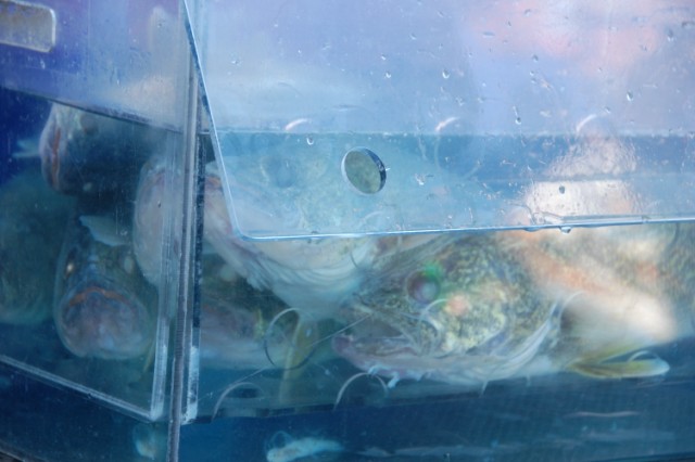 F5CF0AD2-1486-4AE3-8EED-F8BE4AB83F7B