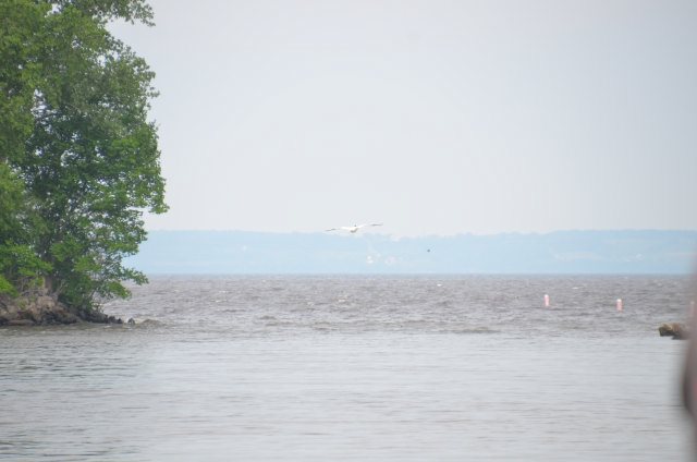 F8FBDEA4-0E35-48A2-98E3-216443539A1A