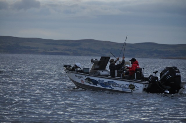 F9435CF5-96DF-4317-91E3-0F2B2769E80D