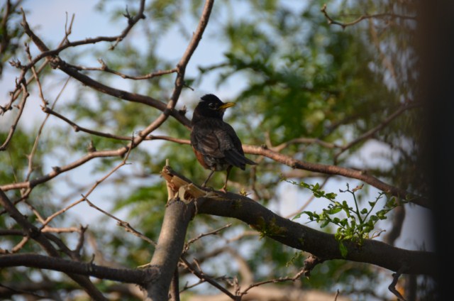 F9A0ABEE-618E-4E07-ABC5-7CCFD8203B72