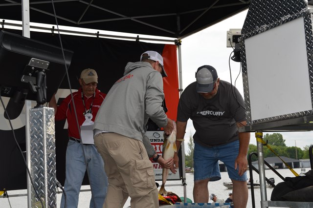 FB45CF22-9E6F-4C86-AAD2-8CB4B07E0049