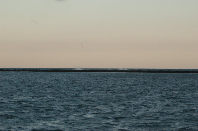 FB8CF8E5-F37D-413F-94BA-E6C4A9900FE6